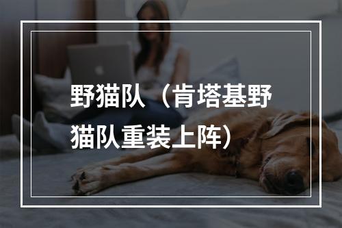 野猫队（肯塔基野猫队重装上阵）