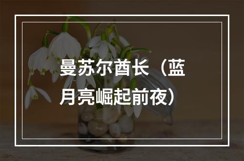曼苏尔酋长（蓝月亮崛起前夜）