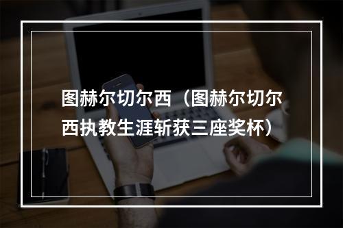 图赫尔切尔西（图赫尔切尔西执教生涯斩获三座奖杯）