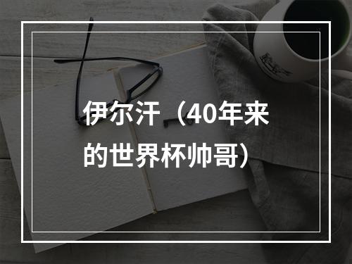 伊尔汗（40年来的世界杯帅哥）