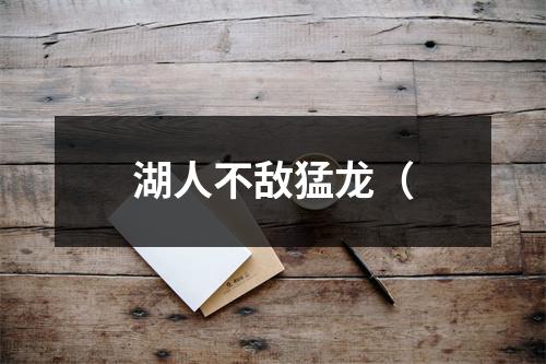 湖人不敌猛龙（