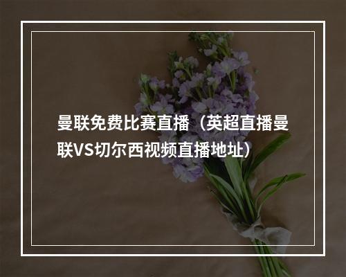 曼联免费比赛直播（英超直播曼联VS切尔西视频直播地址）