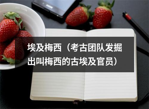 埃及梅西（考古团队发掘出叫梅西的古埃及官员）