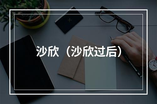 沙欣（沙欣过后）