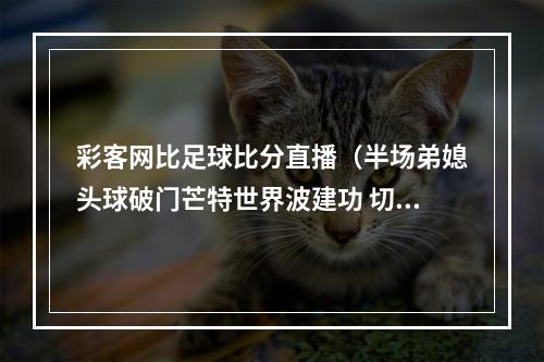 彩客网比足球比分直播（半场弟媳头球破门芒特世界波建功 切尔西暂21西汉姆联）