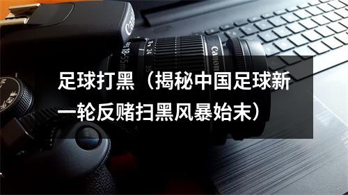 足球打黑（揭秘中国足球新一轮反赌扫黑风暴始末）