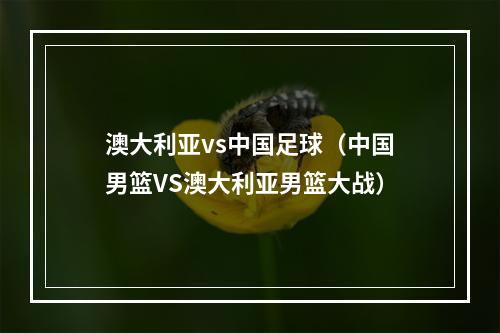 澳大利亚vs中国足球（中国男篮VS澳大利亚男篮大战）