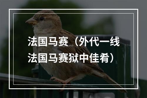 法国马赛（外代一线法国马赛狱中佳肴）