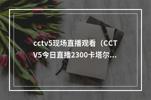 cctv5现场直播观看（CCTV5今日直播2300卡塔尔世界杯决赛阿根廷法国）