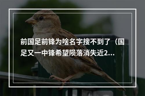 前国足前锋为啥名字搜不到了（国足又一中锋希望陨落消失近2个月）