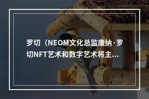 罗切（NEOM文化总监康纳·罗切NFT艺术和数字艺术将主导传统艺术世界）