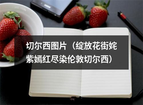 切尔西图片（绽放花街姹紫嫣红尽染伦敦切尔西）