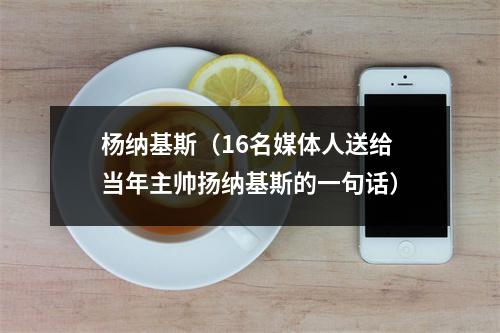 杨纳基斯（16名媒体人送给当年主帅扬纳基斯的一句话）