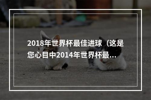 2018年世界杯最佳进球（这是您心目中2014年世界杯最佳进球）