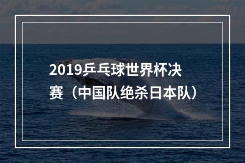 2019乒乓球世界杯决赛（中国队绝杀日本队）