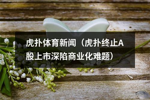 虎扑体育新闻（虎扑终止A股上市深陷商业化难题）