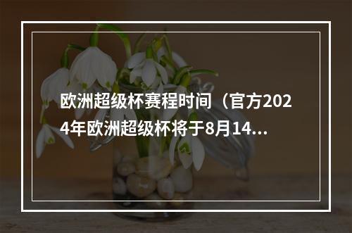 欧洲超级杯赛程时间（官方2024年欧洲超级杯将于8月14日在波兰华沙举行）