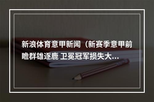 新浪体育意甲新闻（新赛季意甲前瞻群雄逐鹿 卫冕冠军损失大）