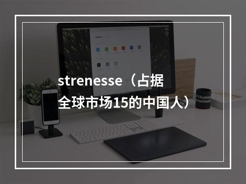 strenesse（占据全球市场15的中国人）