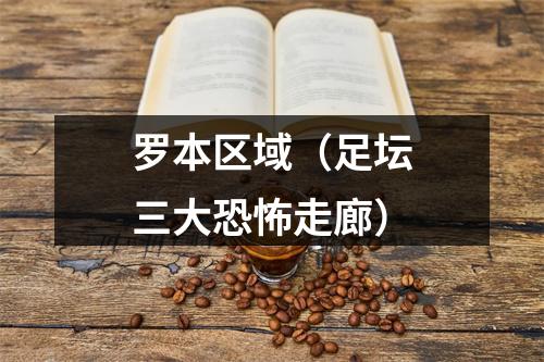 罗本区域（足坛三大恐怖走廊）