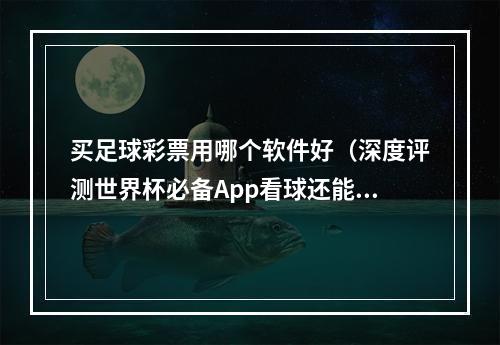 买足球彩票用哪个软件好（深度评测世界杯必备App看球还能这么爽）