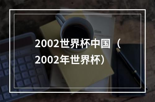 2002世界杯中国（2002年世界杯）