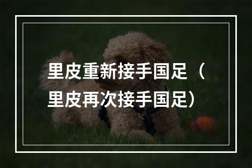 里皮重新接手国足（里皮再次接手国足）