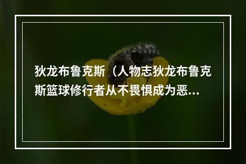 狄龙布鲁克斯（人物志狄龙布鲁克斯篮球修行者从不畏惧成为恶棍）