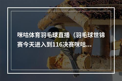 咪咕体育羽毛球直播（羽毛球世锦赛今天进入到116决赛咪咕视频安排直播）