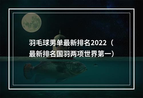 羽毛球男单最新排名2022（最新排名国羽两项世界第一）