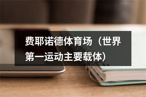 费耶诺德体育场（世界第一运动主要载体）