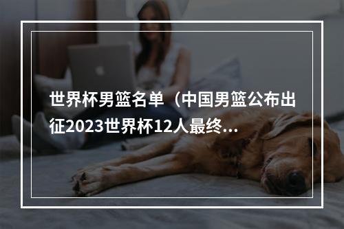 世界杯男篮名单（中国男篮公布出征2023世界杯12人最终名单）