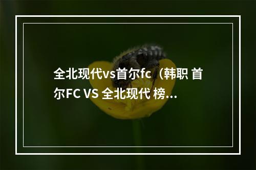 全北现代vs首尔fc（韩职 首尔FC VS 全北现代 榜首大战谁能取胜）