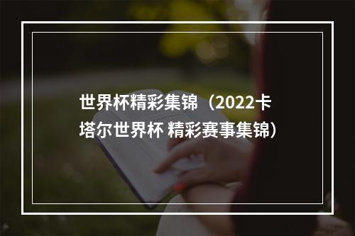 世界杯精彩集锦（2022卡塔尔世界杯 精彩赛事集锦）