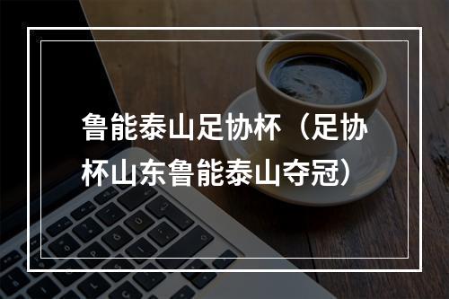 鲁能泰山足协杯（足协杯山东鲁能泰山夺冠）