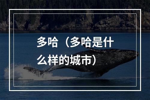 多哈（多哈是什么样的城市）