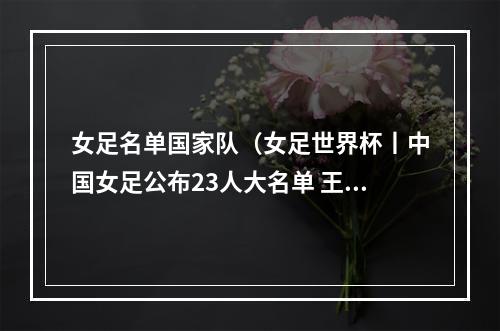 女足名单国家队（女足世界杯丨中国女足公布23人大名单 王霜王珊珊张琳艳领衔出征）
