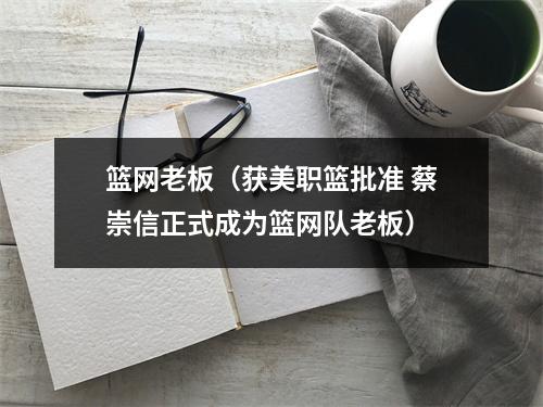 篮网老板（获美职篮批准 蔡崇信正式成为篮网队老板）