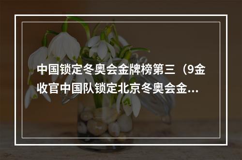 中国锁定冬奥会金牌榜第三（9金收官中国队锁定北京冬奥会金牌榜第三名）