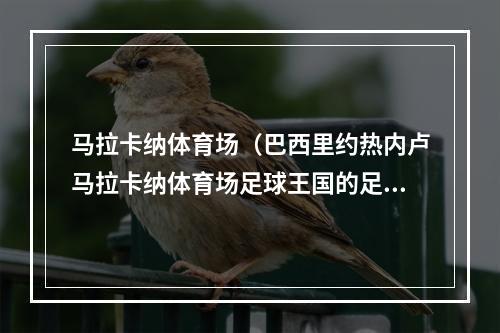 马拉卡纳体育场（巴西里约热内卢马拉卡纳体育场足球王国的足球圣殿）
