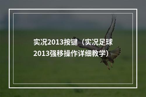 实况2013按键（实况足球2013强移操作详细教学）