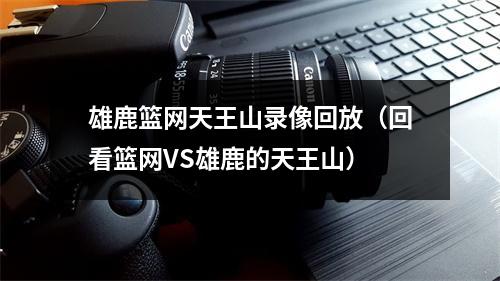 雄鹿篮网天王山录像回放（回看篮网VS雄鹿的天王山）