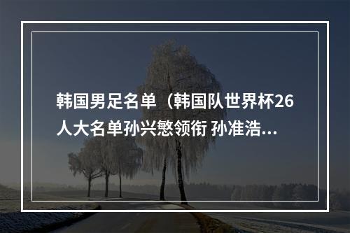 韩国男足名单（韩国队世界杯26人大名单孙兴慜领衔 孙准浩金玟哉在列）
