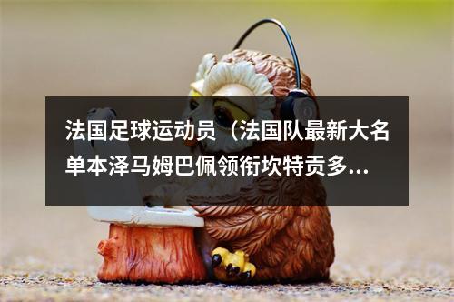 法国足球运动员（法国队最新大名单本泽马姆巴佩领衔坎特贡多齐在列）