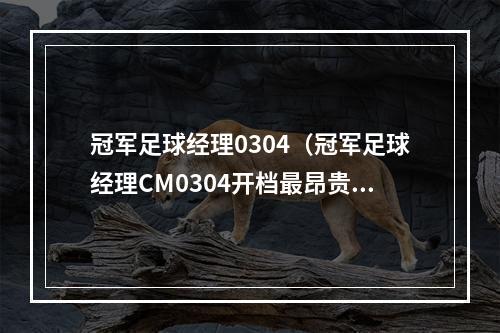 冠军足球经理0304（冠军足球经理CM0304开档最昂贵11人阵容）