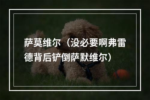 萨莫维尔（没必要啊弗雷德背后铲倒萨默维尔）