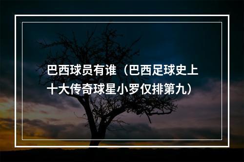 巴西球员有谁（巴西足球史上十大传奇球星小罗仅排第九）