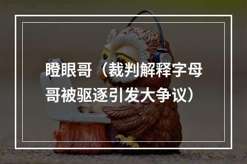 瞪眼哥（裁判解释字母哥被驱逐引发大争议）