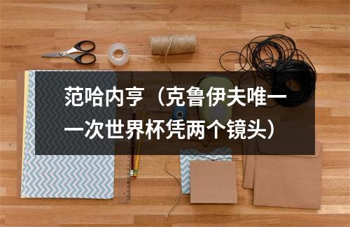 范哈内亨（克鲁伊夫唯一一次世界杯凭两个镜头）