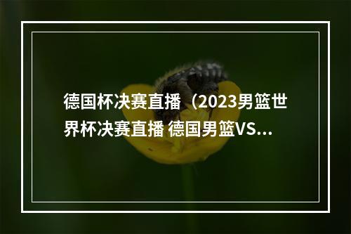 德国杯决赛直播（2023男篮世界杯决赛直播 德国男篮VS塞尔维亚男篮中文全程高清）
